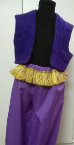 Kids Costumes to Hire - Arabian PURPLE waistcoat & pants with fringing - CHILD